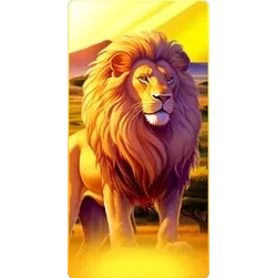Lion
Safari